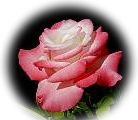 Balance of the nature in love for the Divine