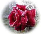 Human passions changed into love for the Divine