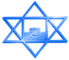 Sri Aurobindo's Symbol