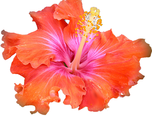 The Mother by Sri Aurobindo